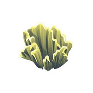 Realistic Coral  23